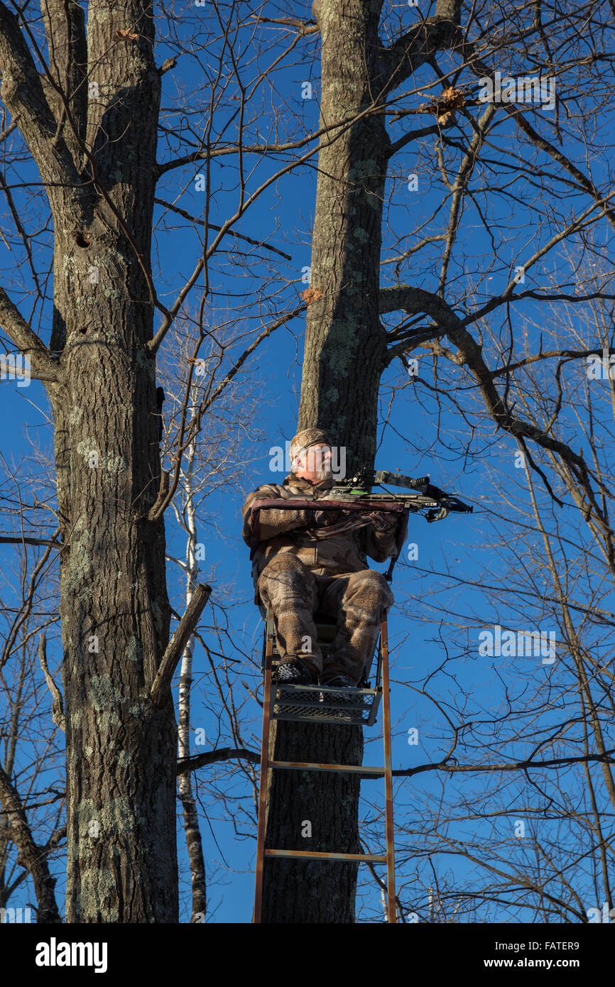 Crossbow hunter in a tree stand Stock Photo Alamy