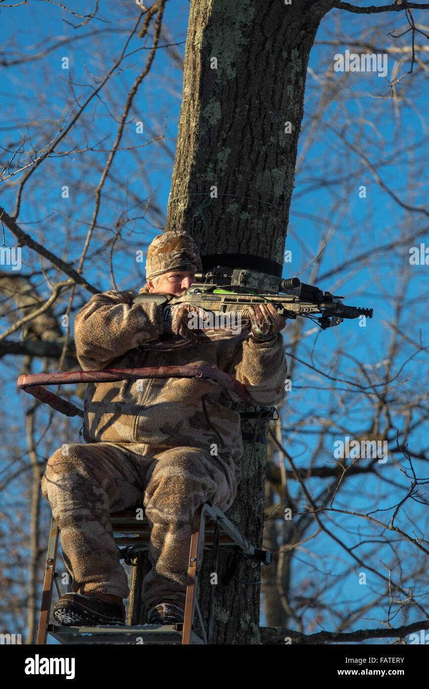 Crossbow hunter in a tree stand Stock Photo Alamy