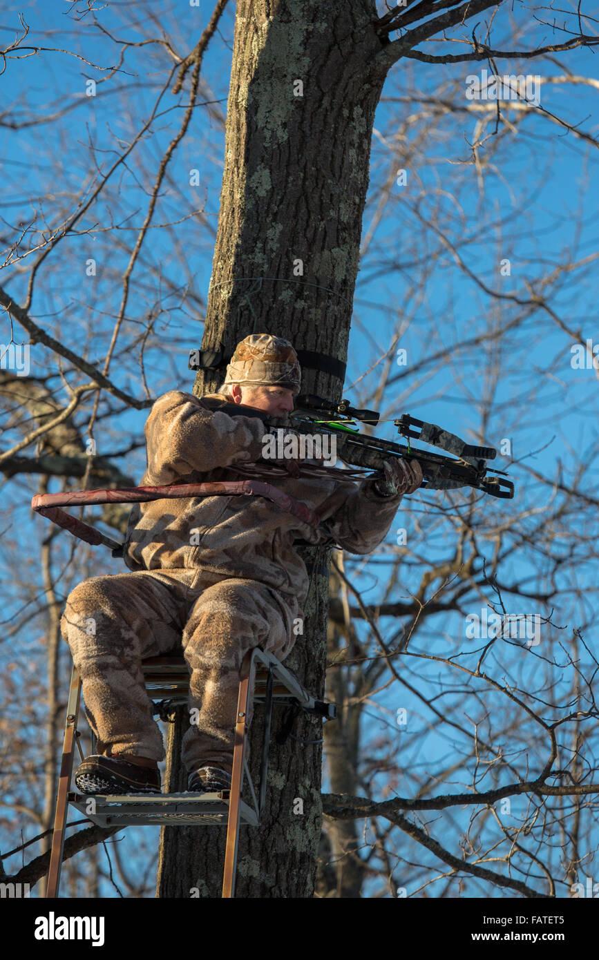 Crossbow hunter in a tree stand Stock Photo Alamy