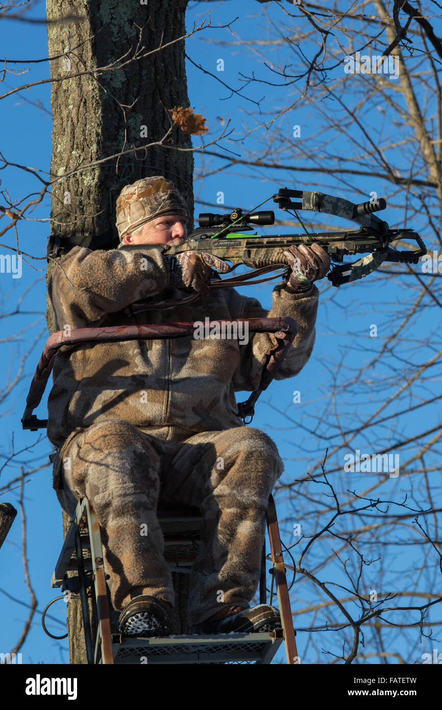 Crossbow hunter in a tree stand Stock Photo Alamy