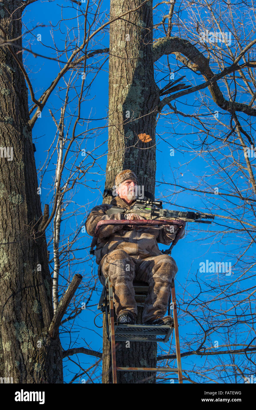 Crossbow hunter in a tree stand Stock Photo Alamy