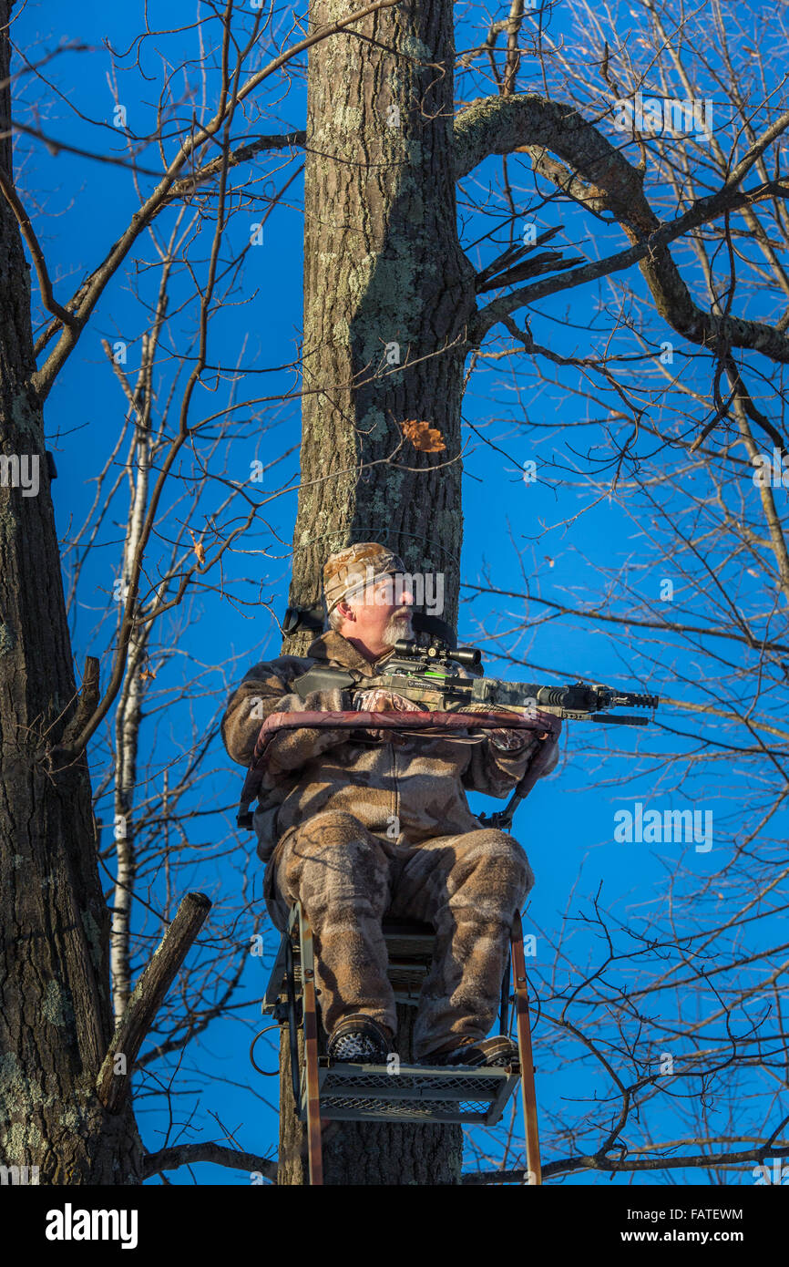 Crossbow hunter in a tree stand Stock Photo Alamy