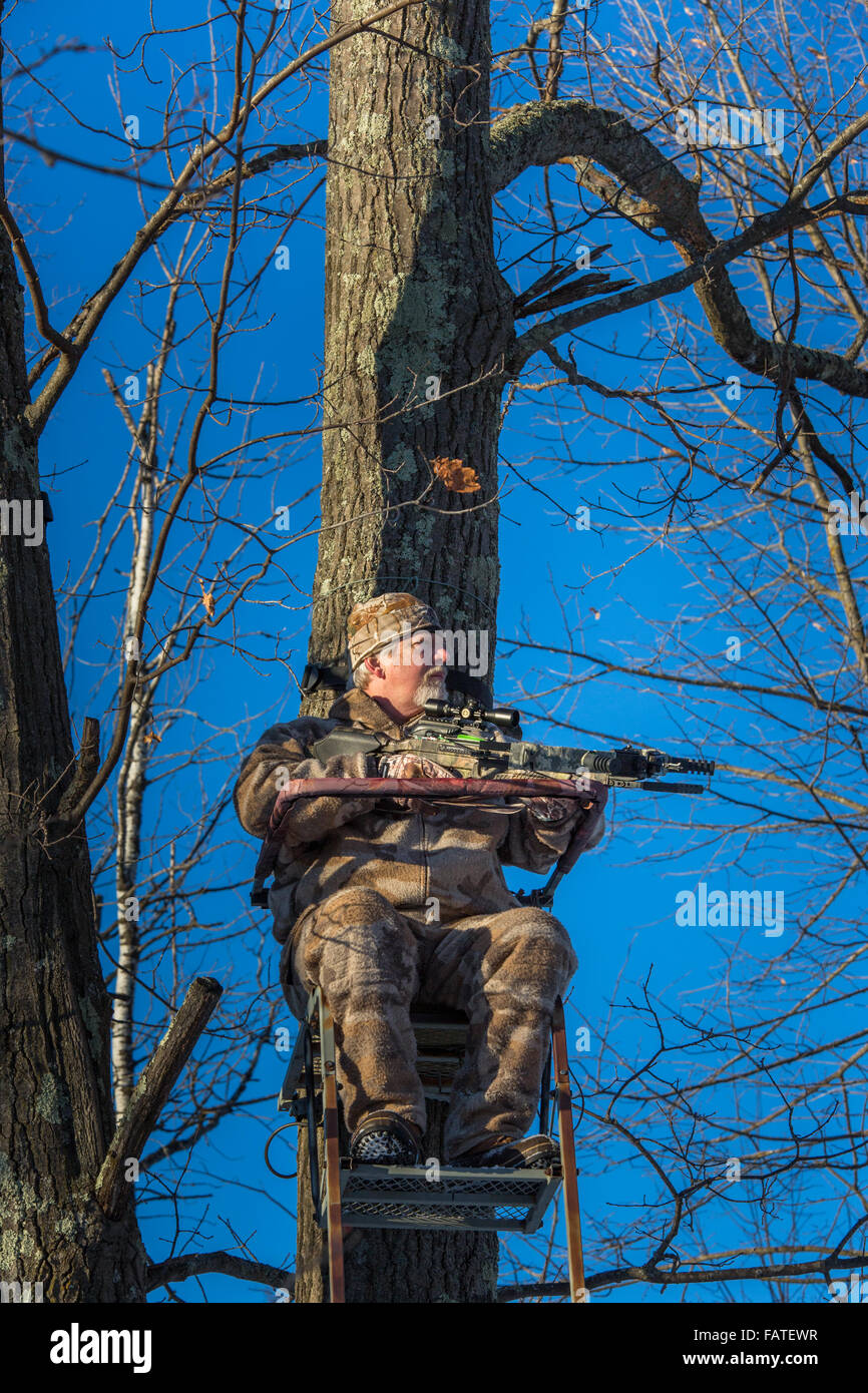 Tree stand bow hunter hires stock photography and images Alamy