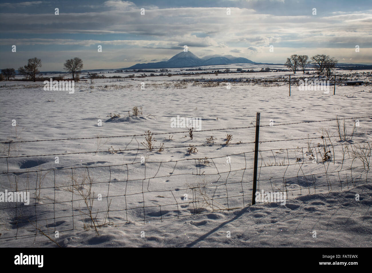 Snowy expansive landscape, Sleeping Ute Mountain, Southwestern Colorado Stock Photo