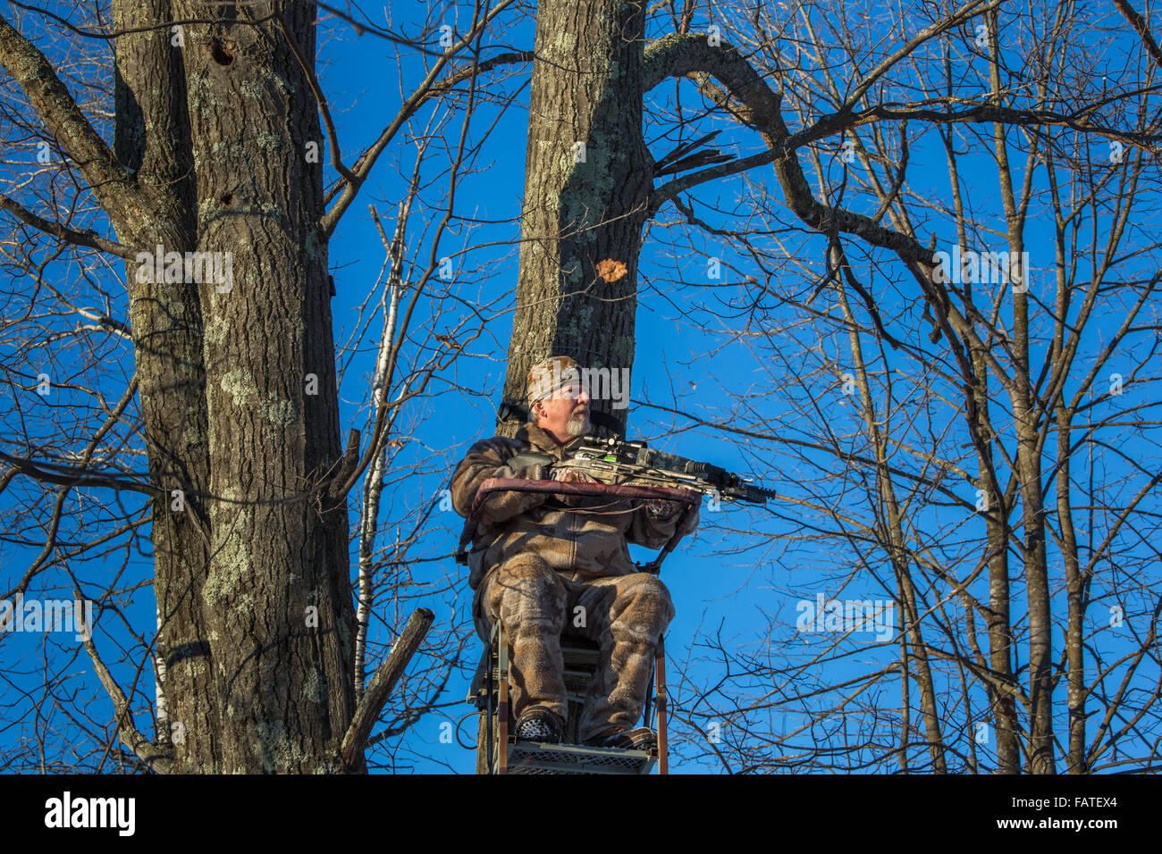 Tree stand bow hunter hires stock photography and images Alamy