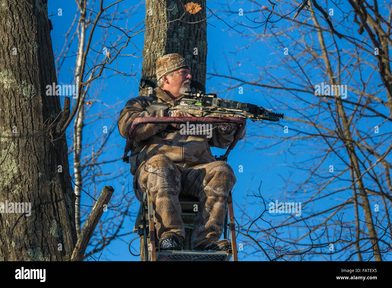 Crossbow hunter in a tree stand Stock Photo Alamy
