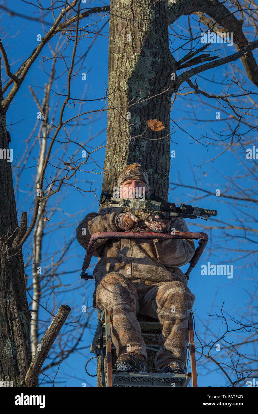 Bow hunter tree stand hires stock photography and images Alamy
