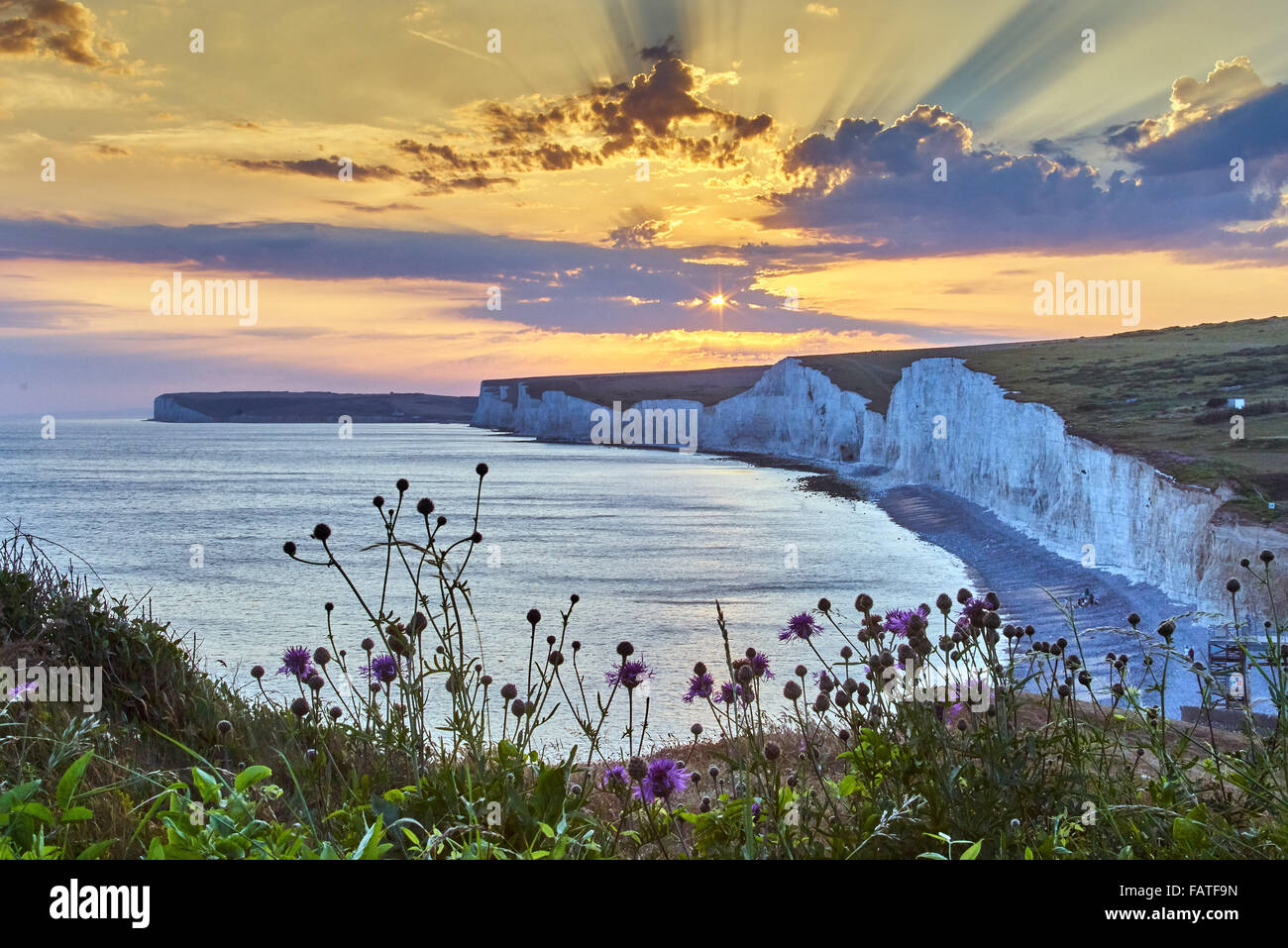 Landscape photograph of Birling Gap at sunset with Greater Knapweed Stock Photo