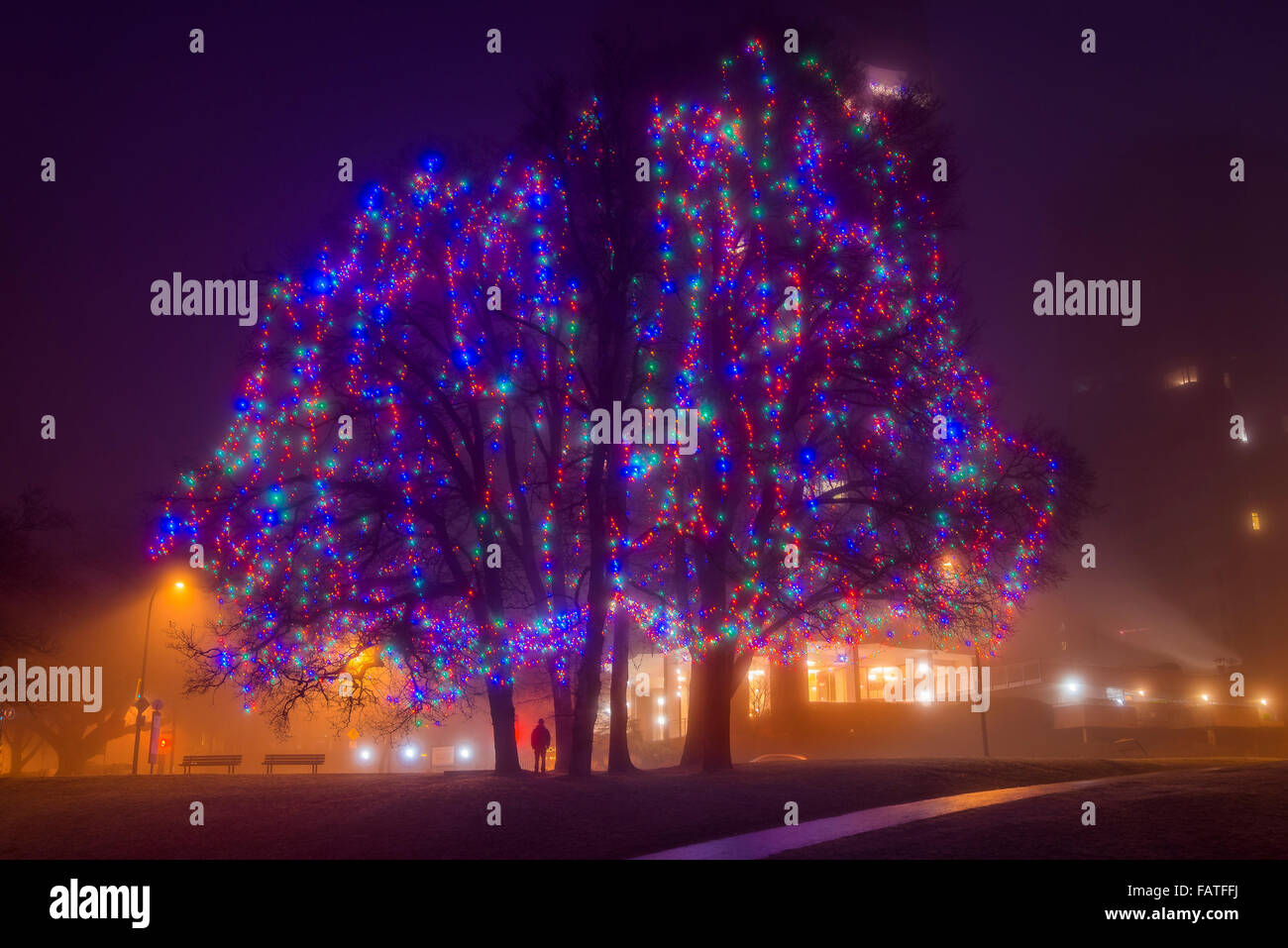 Elm grove hires stock photography and images Alamy