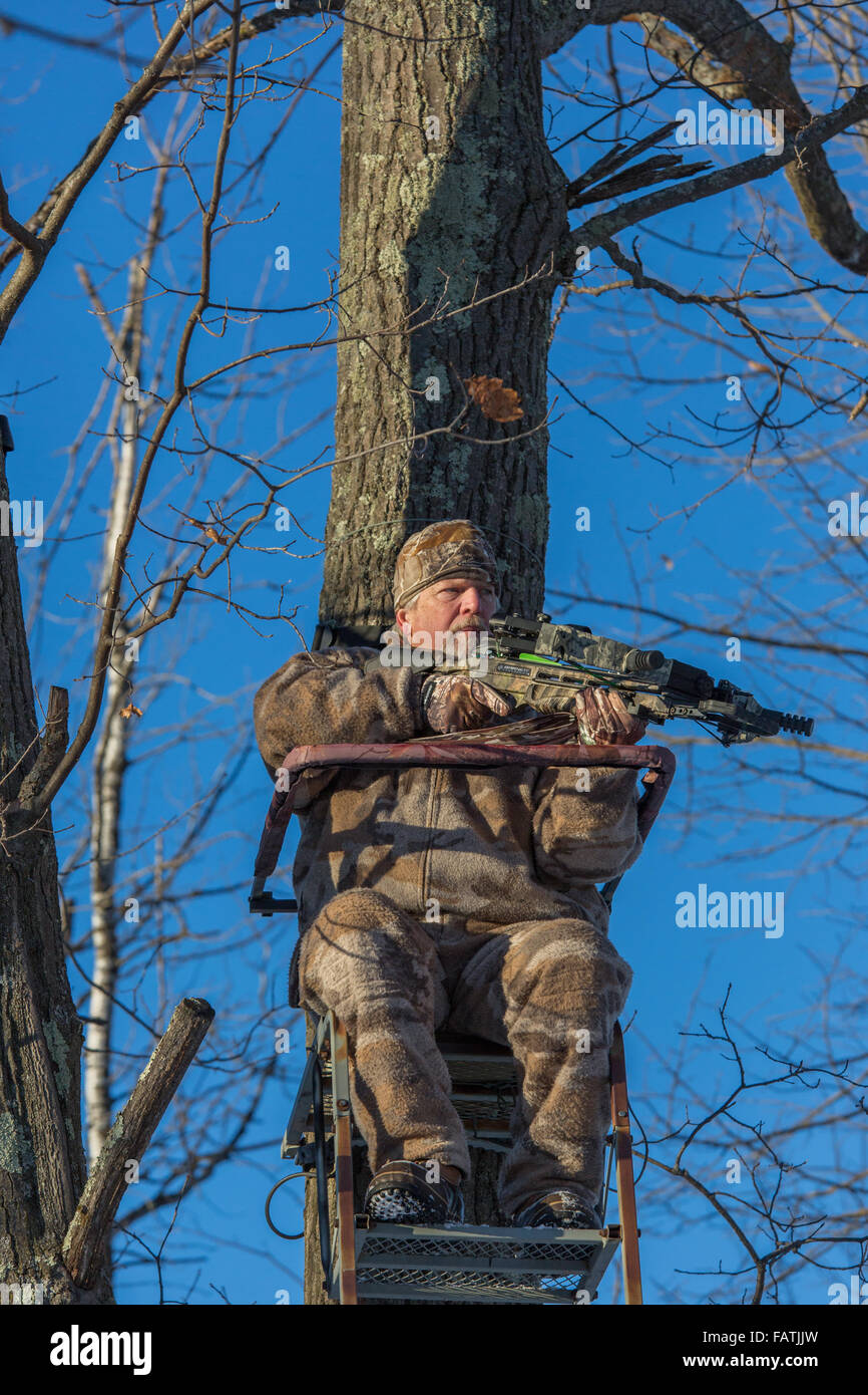 Crossbow hunter in a tree stand Stock Photo Alamy