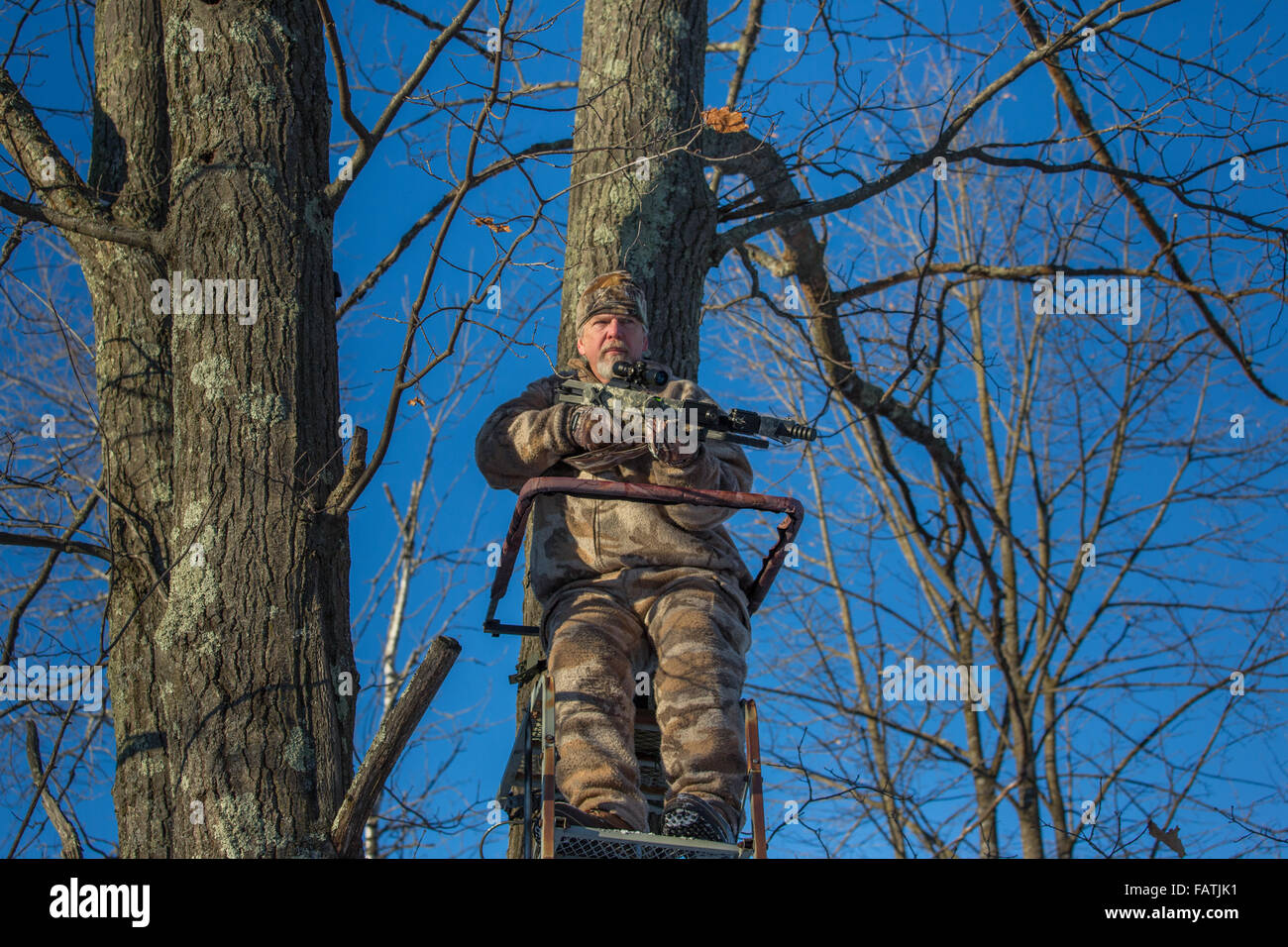 Crossbow hunter in a tree stand Stock Photo Alamy