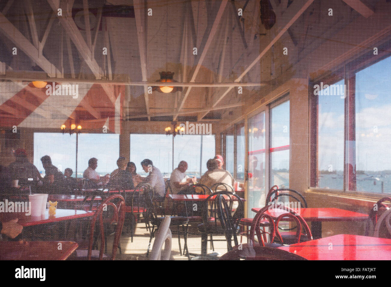 Abbott's lobster in the Rough Noank CT Stock Photo Alamy