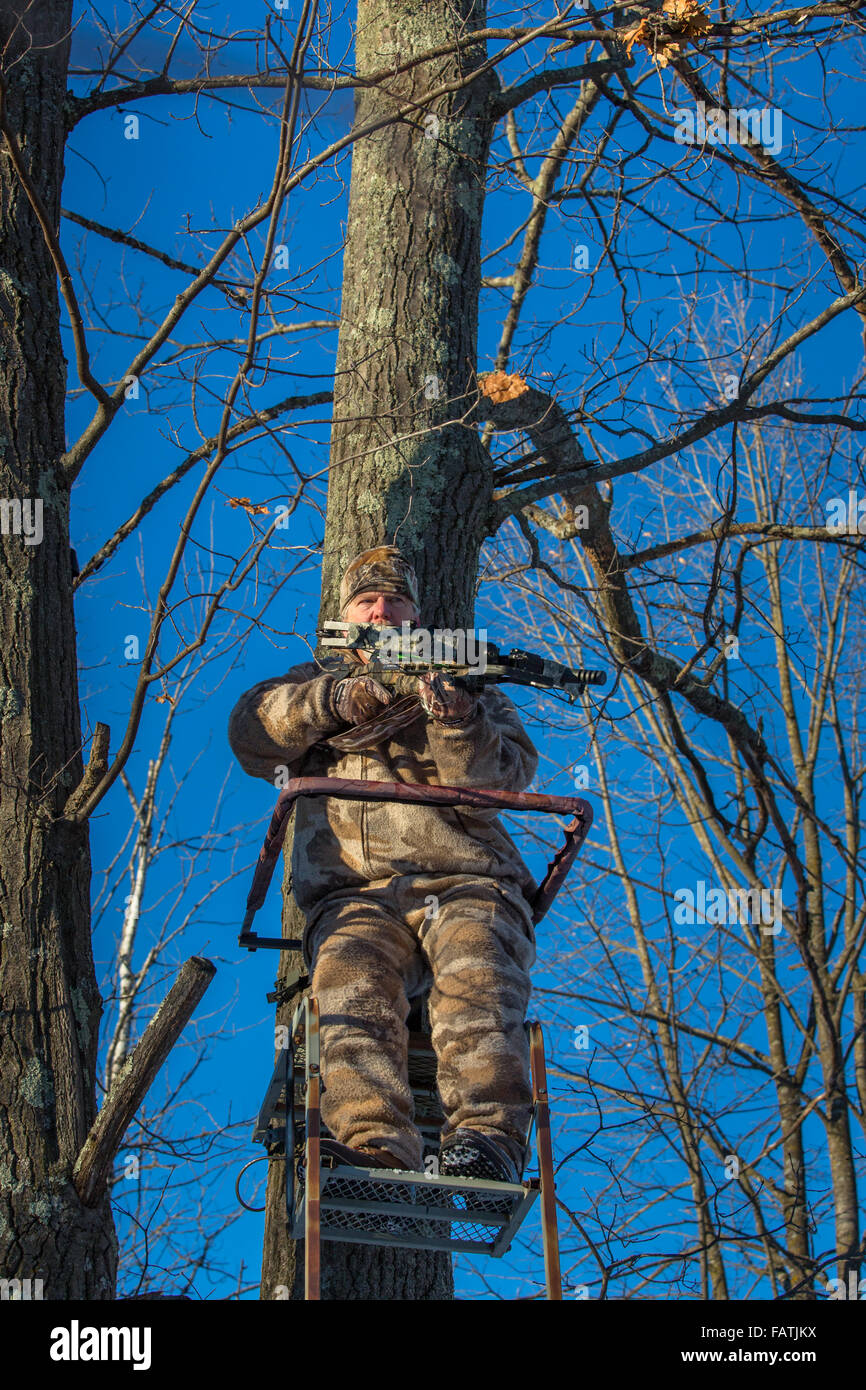Crossbow hunter in a tree stand Stock Photo Alamy