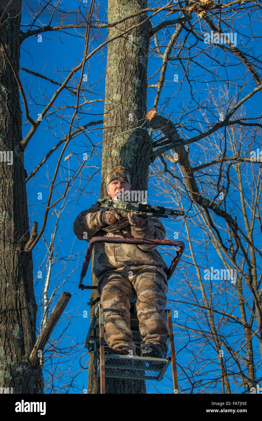 Bow hunter tree stand hires stock photography and images Alamy