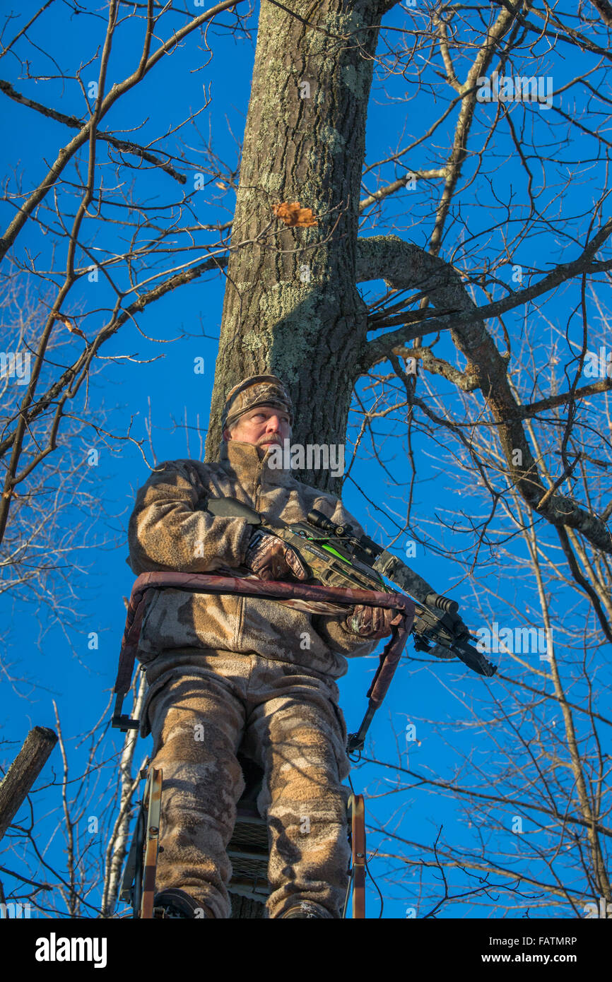 Crossbow hunter in a tree stand Stock Photo Alamy