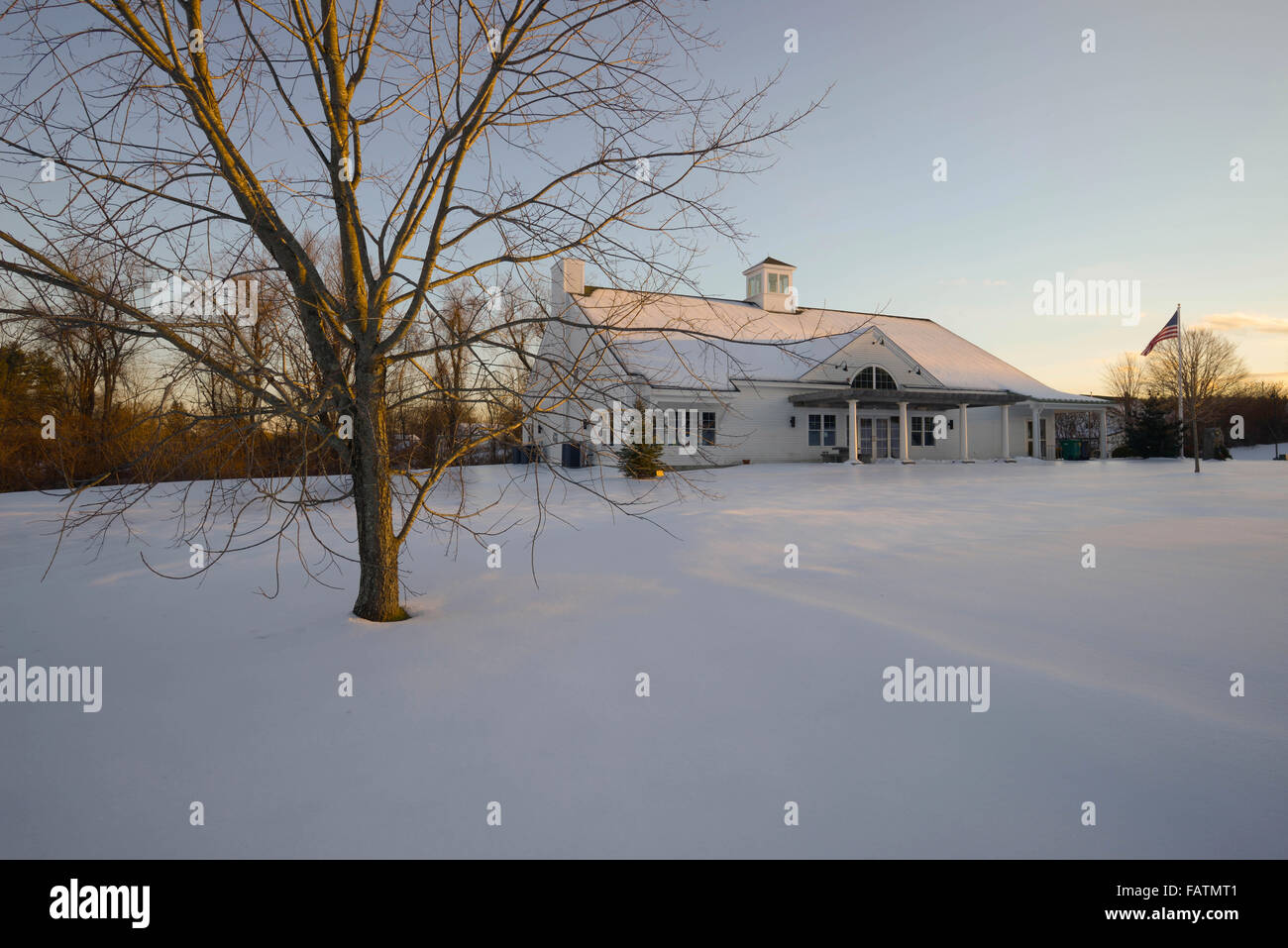 Library tree hires stock photography and images Alamy