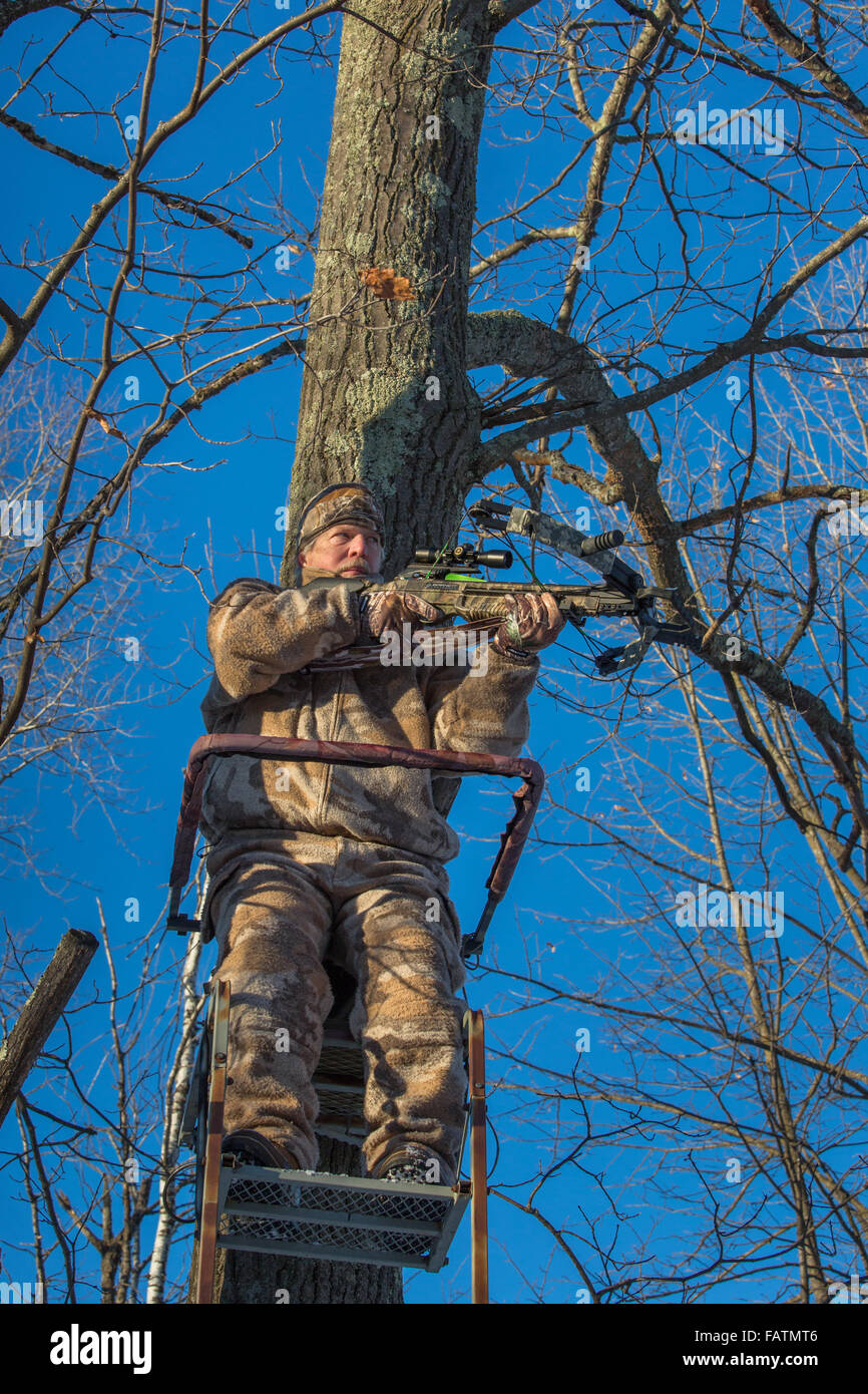 Crossbow hunter in a tree stand Stock Photo Alamy