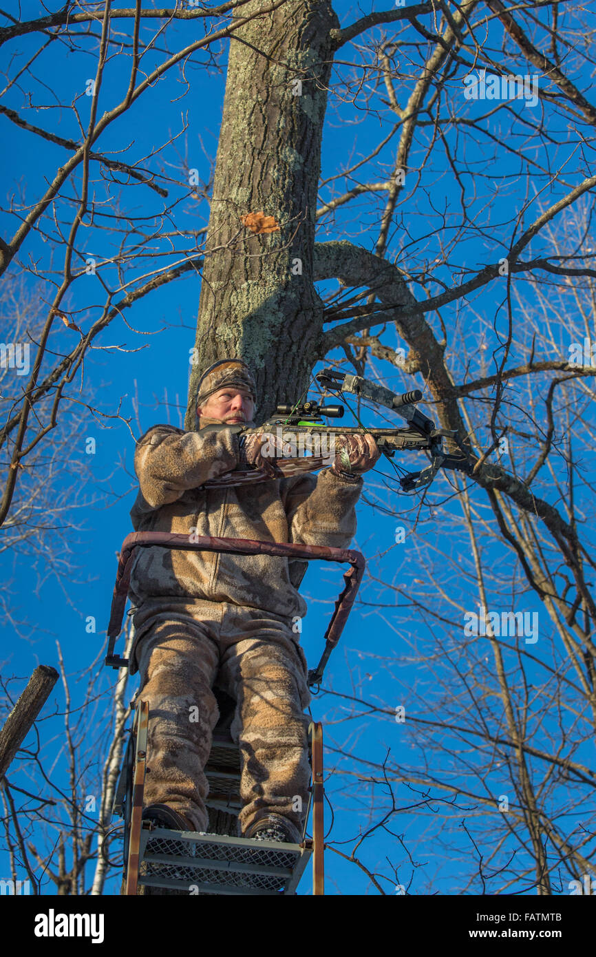 Crossbow hunter in a tree stand Stock Photo Alamy