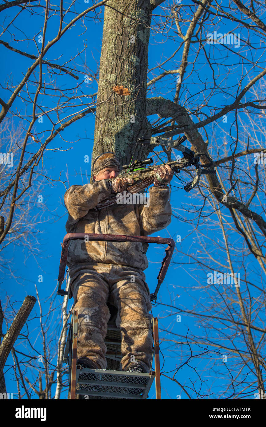 Crossbow hunter in a tree stand Stock Photo - Alamy