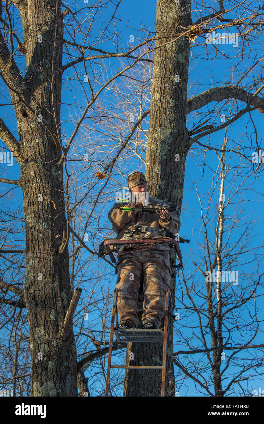 Crossbow hunter in a tree stand Stock Photo Alamy