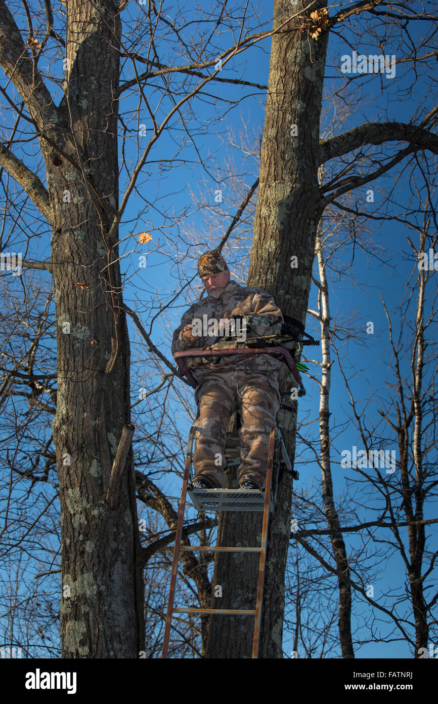 Crossbow hunter in a tree stand Stock Photo Alamy