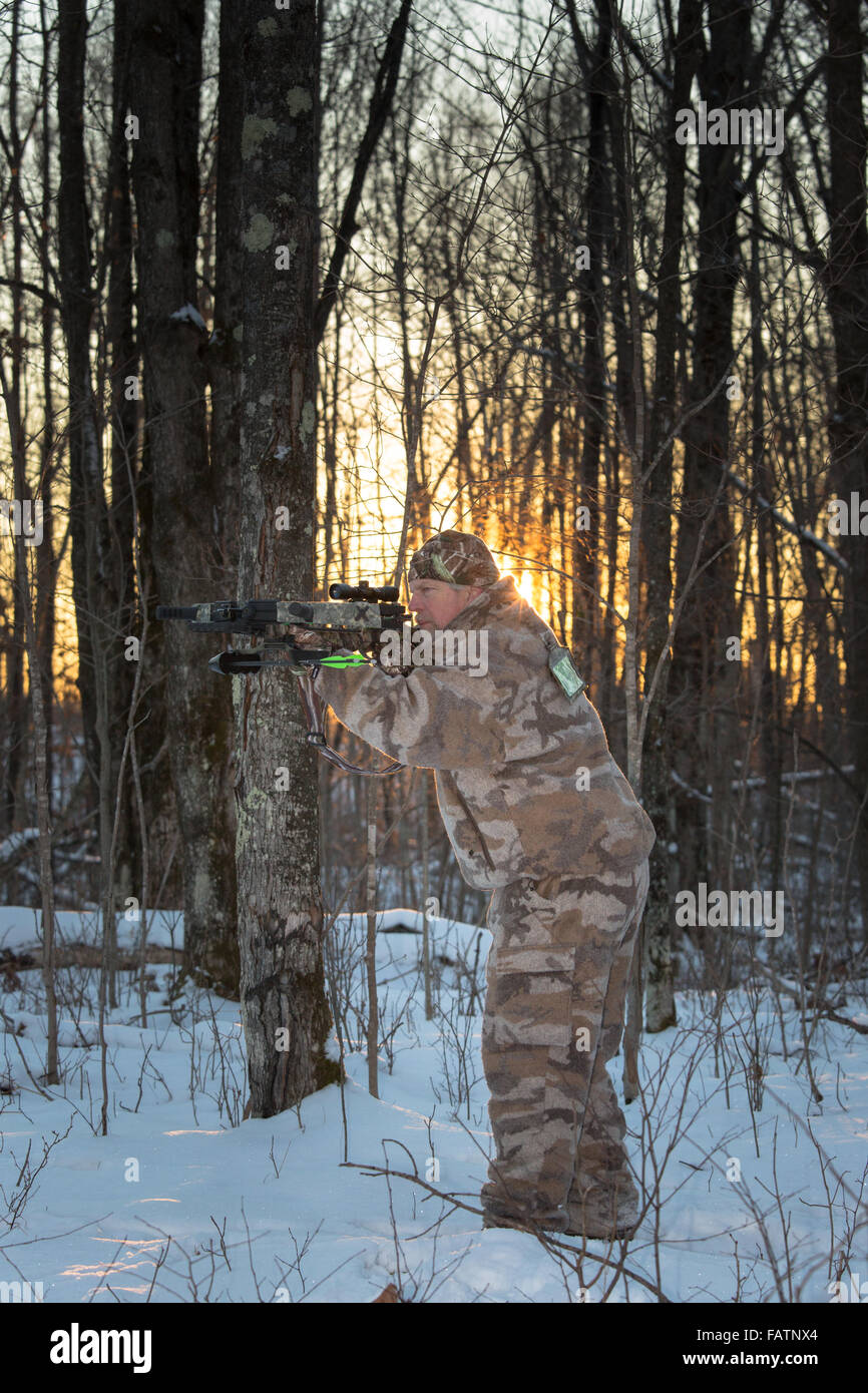 Crossbow hunter taking aim Stock Photo