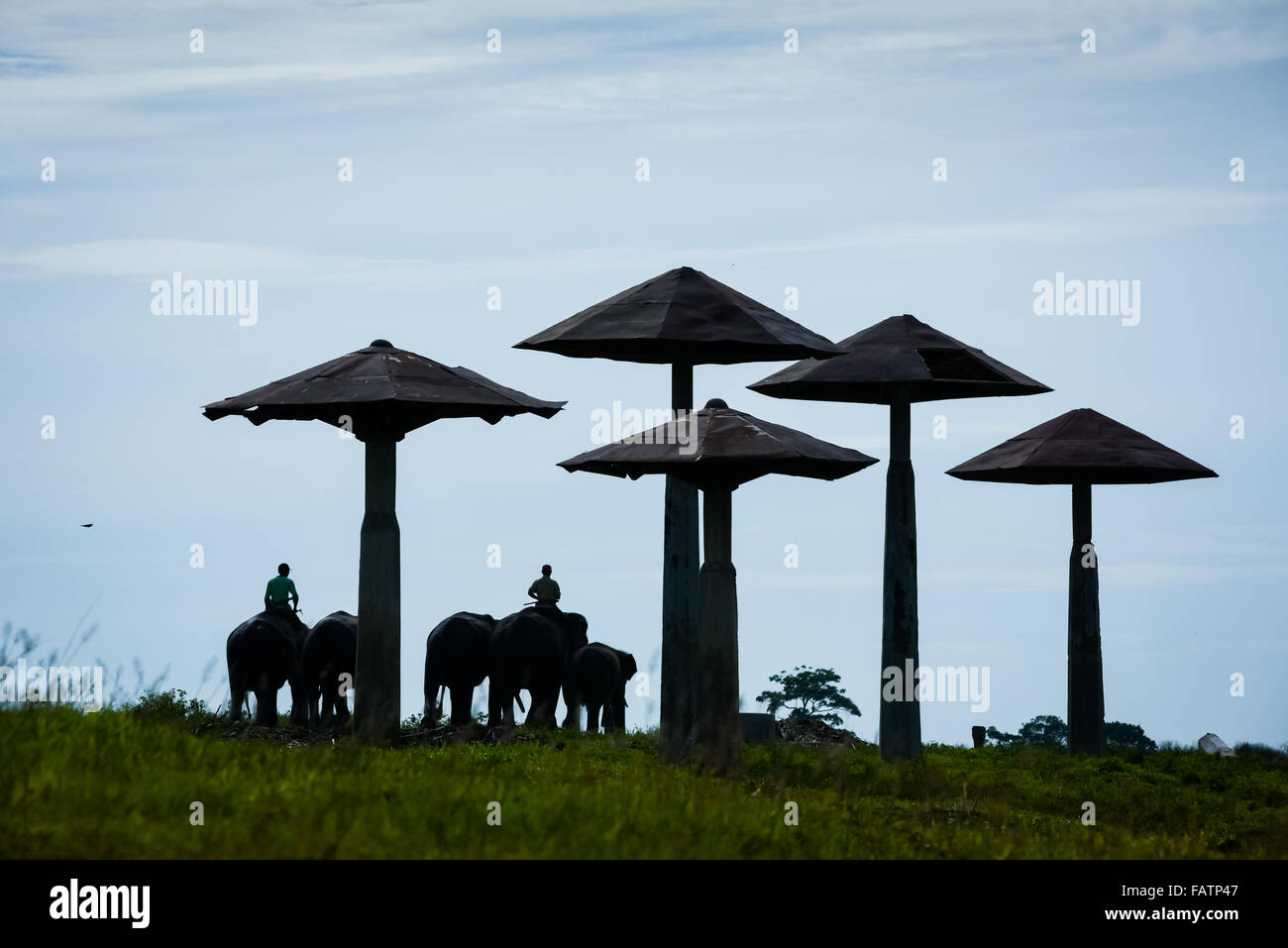 Shelters at Sumatran elephants feeding ground in Way Kambas National Park, Indonesia Stock Photo