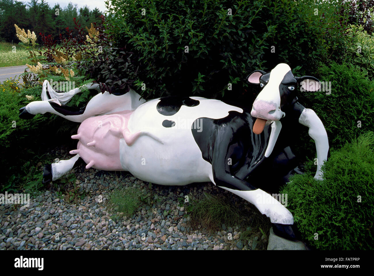 Cow Sculpture Roadside Attraction at Lock City Dairies, Sault Ste. Marie, Ontario, Canada Stock Photo