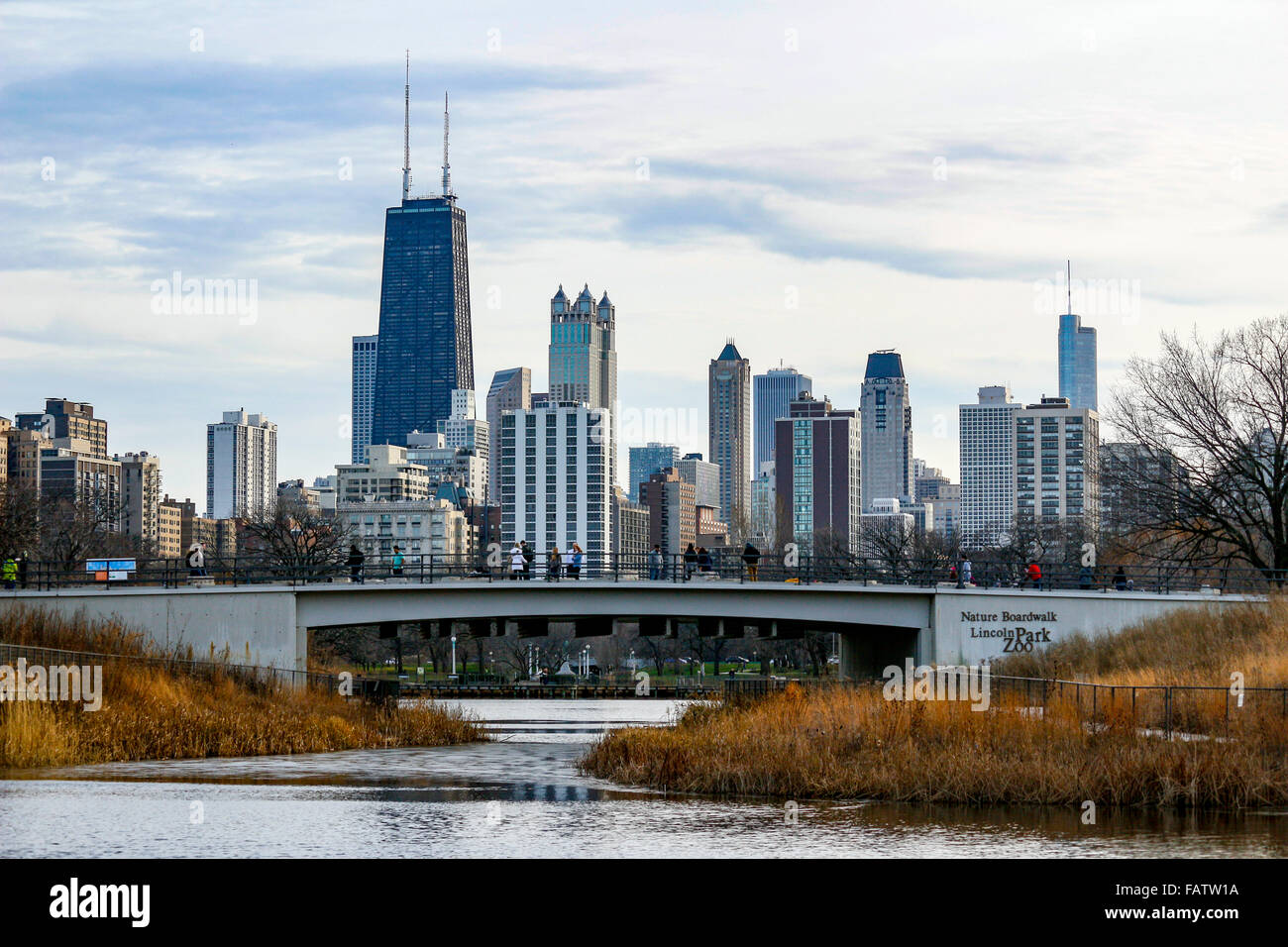 Lincoln Park Nature Area and downtown Chicago. Stock Photo