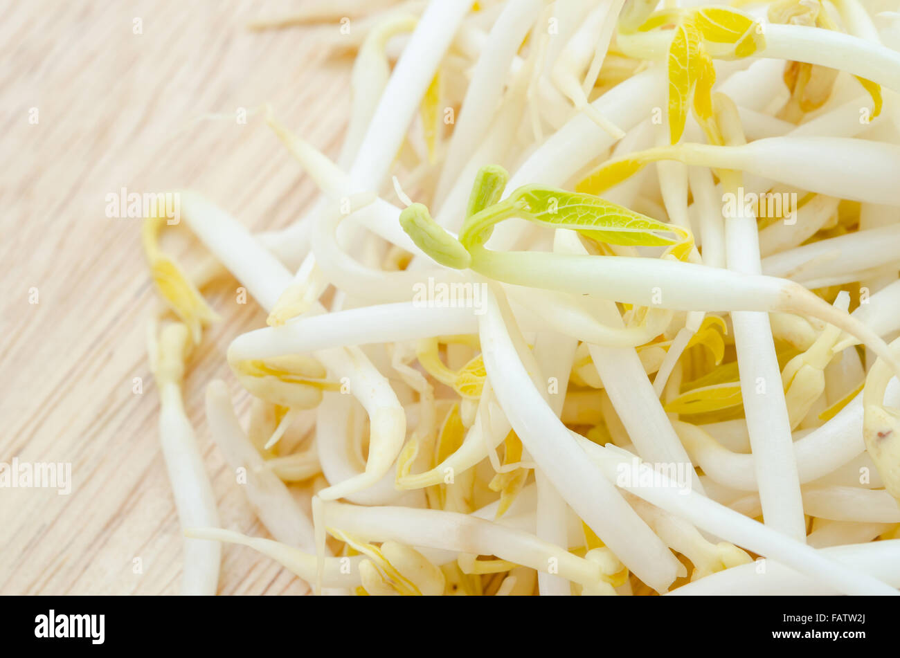 Mungbean Sprouts on wooden background. Stock Photo