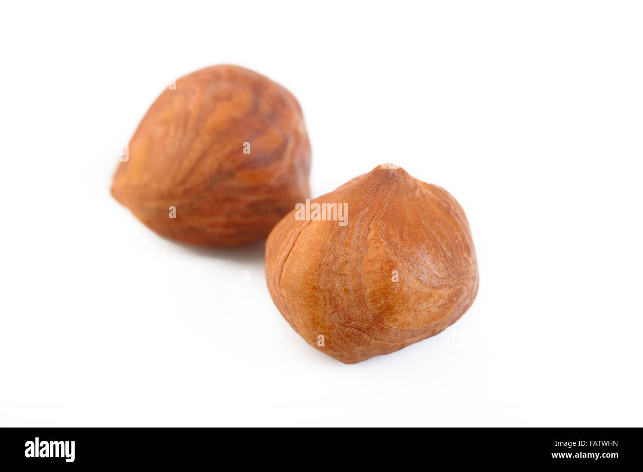 peeled hazelnuts isolated on white background Stock Photo Alamy