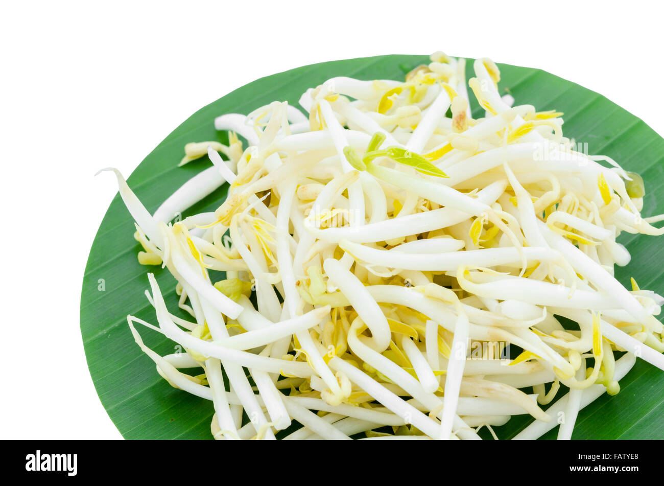 Mung bean Sprouts on green leaf isolated on white background. Stock Photo