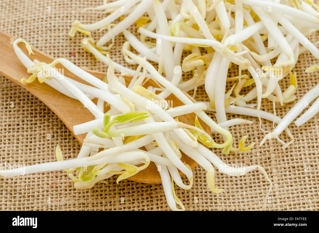 Mung beans or bean sprouts on sack background. Stock Photo