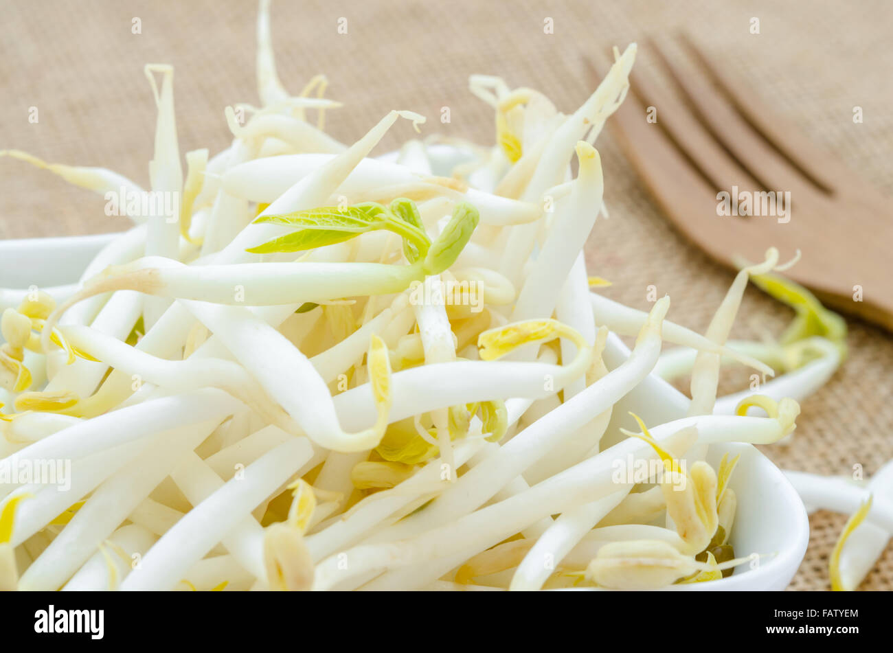 Mung bean sprouts in white cup on sack background Stock Photo