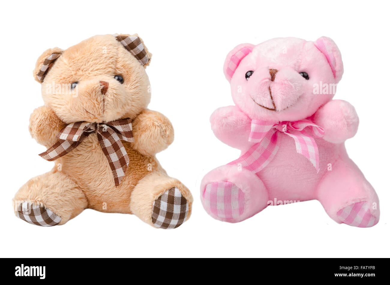 Toy teddy bear and pink bear on white backgrounhd. Stock Photo