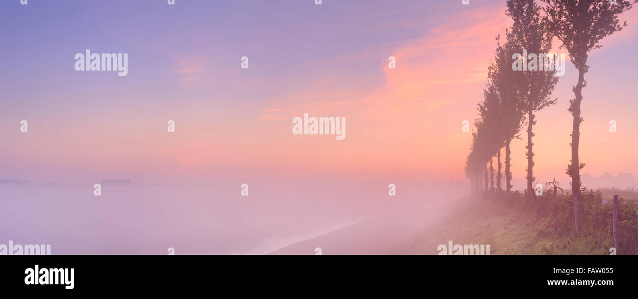 A foggy sunrise in typical polder landscape in the Beemster in The Netherlands. Stock Photo