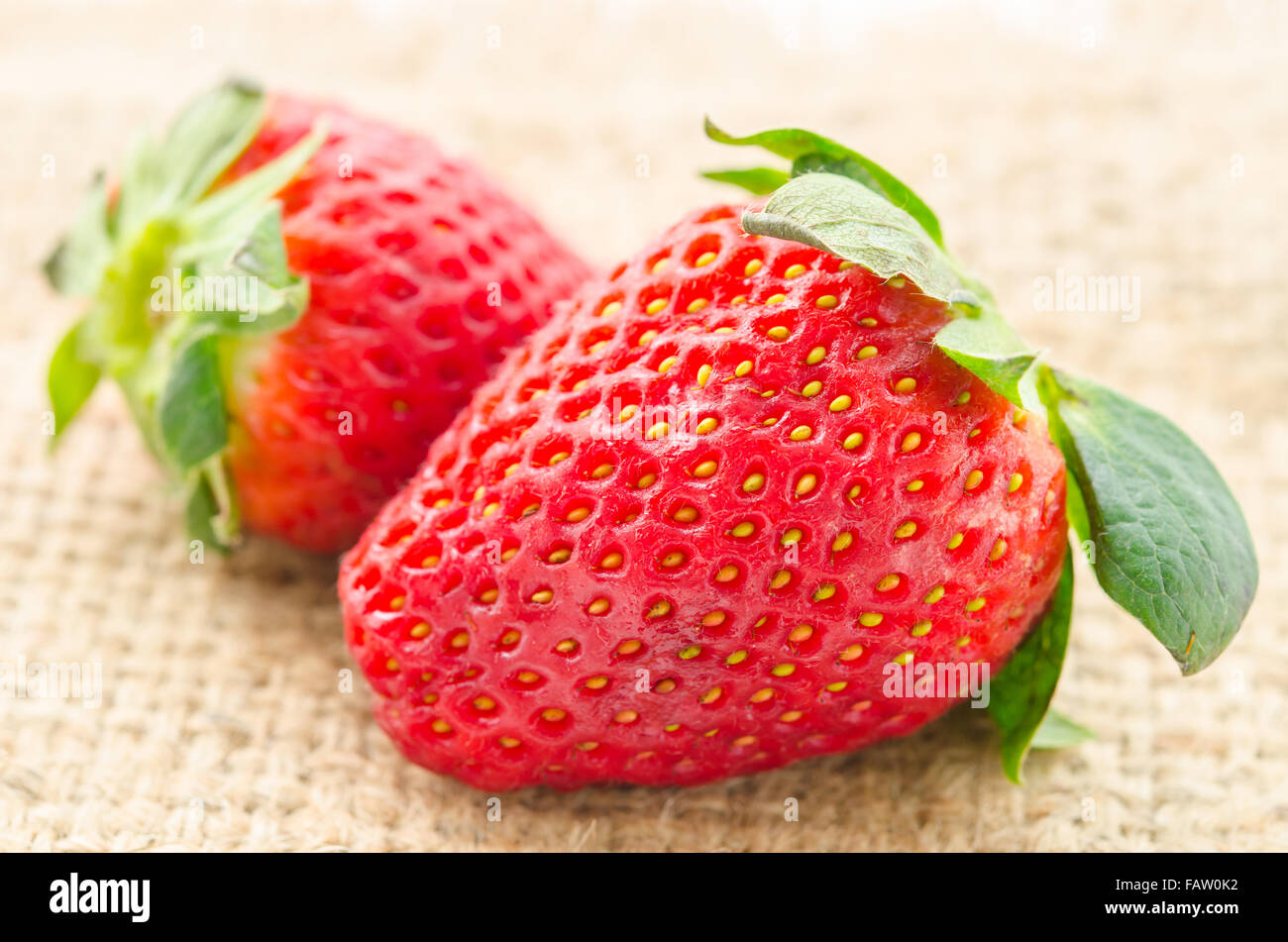 Ripe red strawberries on sack background. Stock Photo