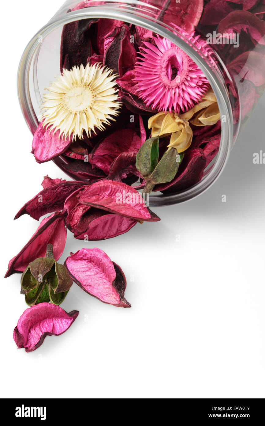 Colorful Dried Flowers Spilling Out From Plastic Container Stock Photo