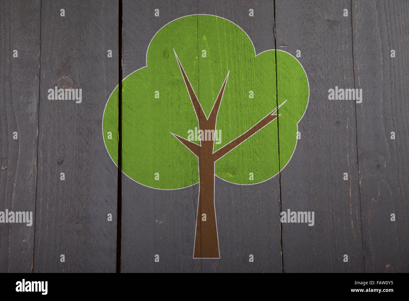 Green tree on black wooden background Stock Photo