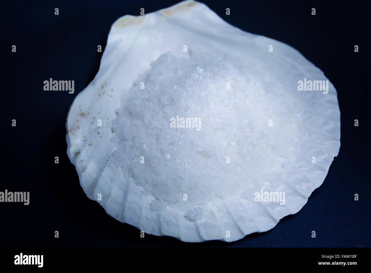 Flower of salt (fleur de sel) in a scallop shell. The salt is produced