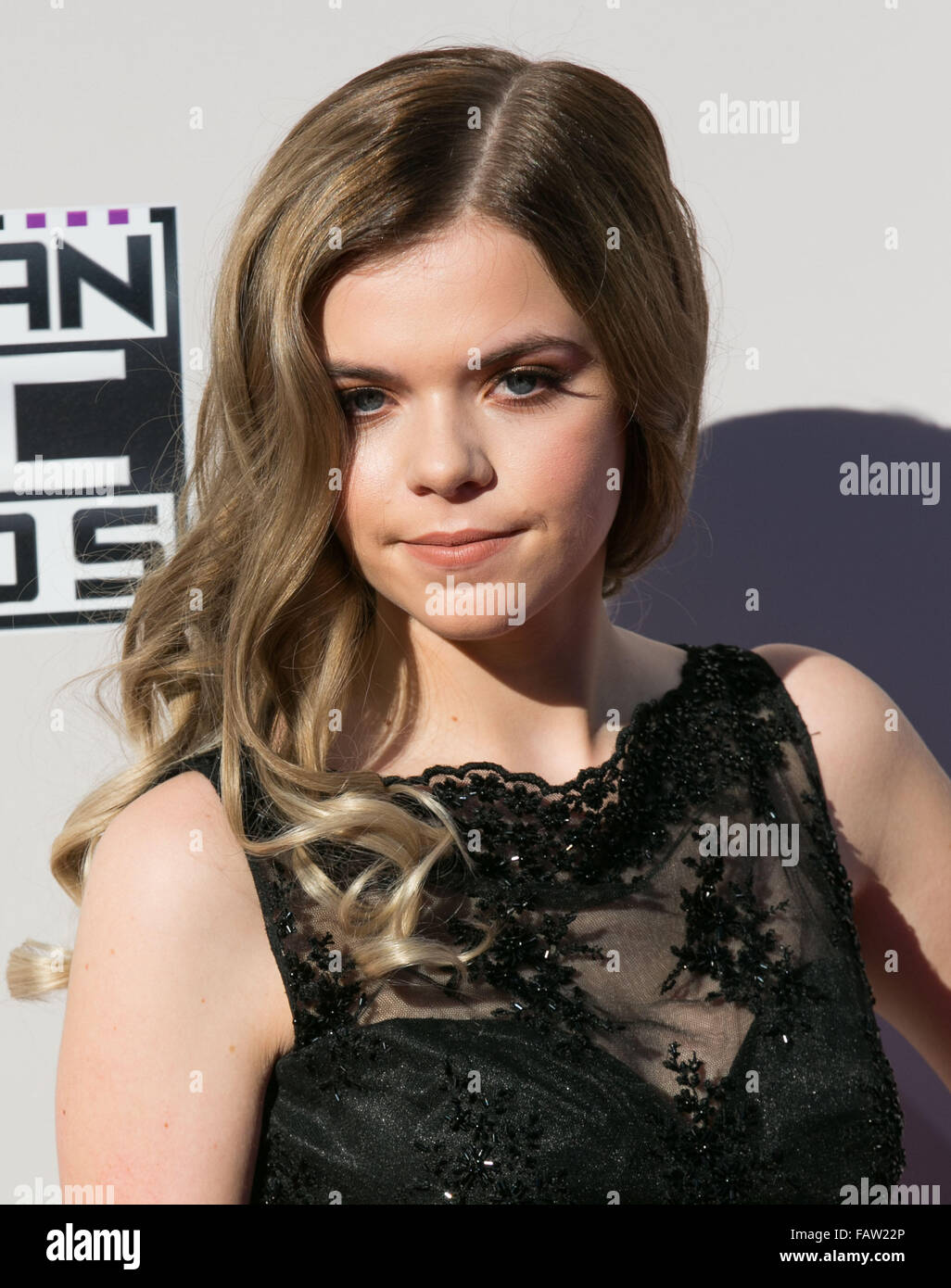 Celebrities attend 2015 American Music Awards at Microsoft Theater