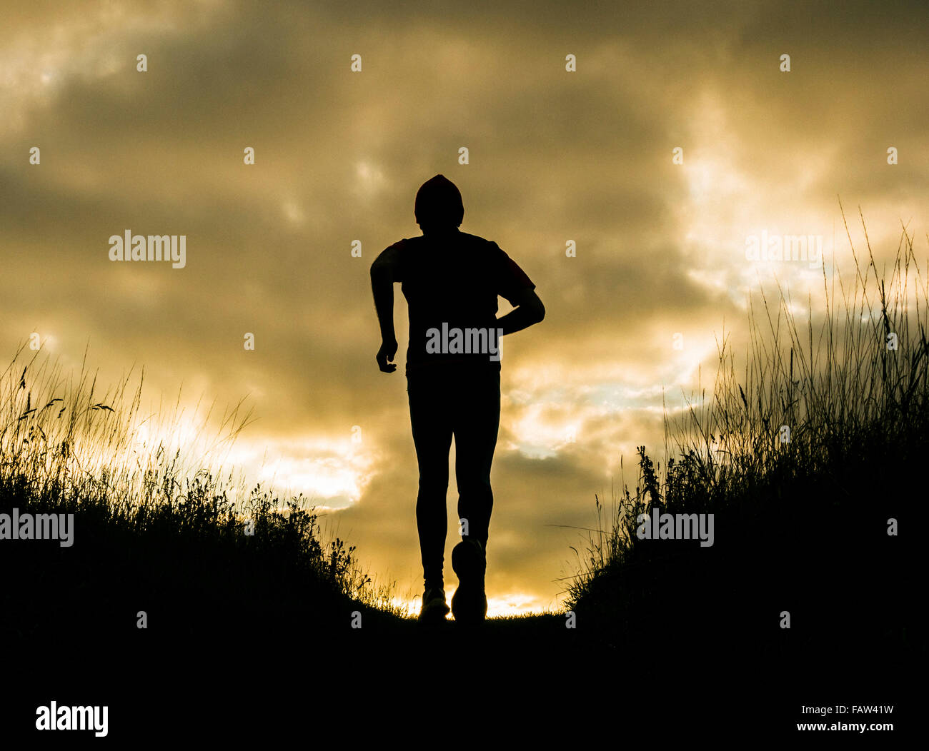 Silhouette of male jogger on hill at sunrise. UK Stock Photo