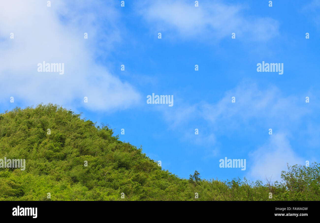 green forest and blue sky with white cloud background Stock Photo - Alamy