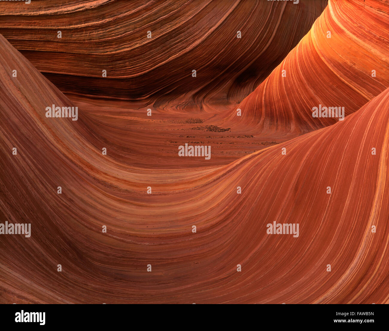 Formation management hi-res stock photography and images - Alamy