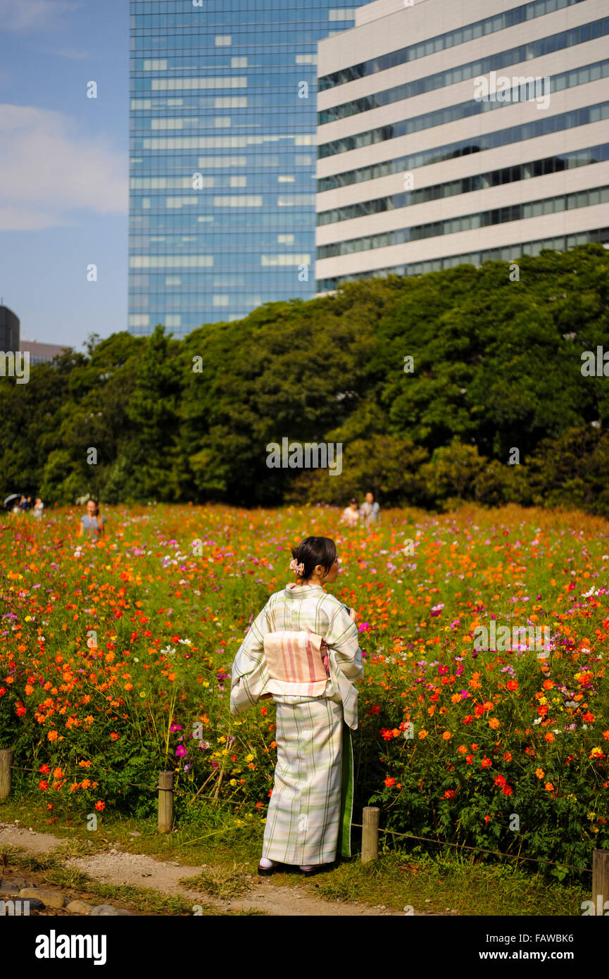 Woman dressed with traditional clothes at a tea ceremony, in Rikyu Gardens, Tokyo Stock Photo