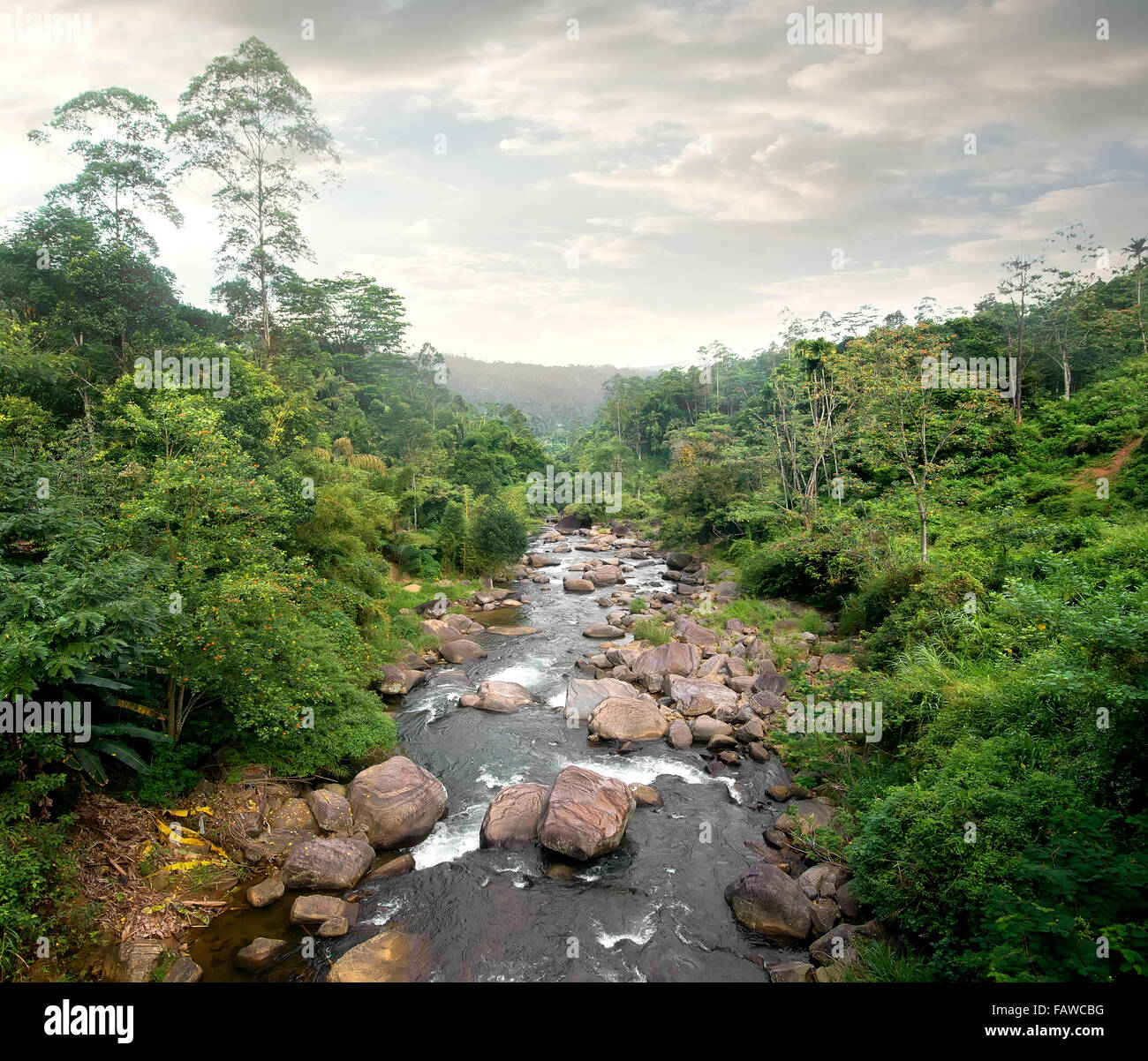 Cloudy weather and river in tropical forest Stock Photo