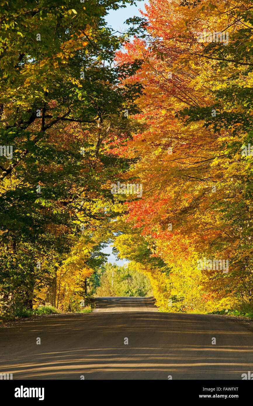 The scene in bolton road hires stock photography and images Alamy