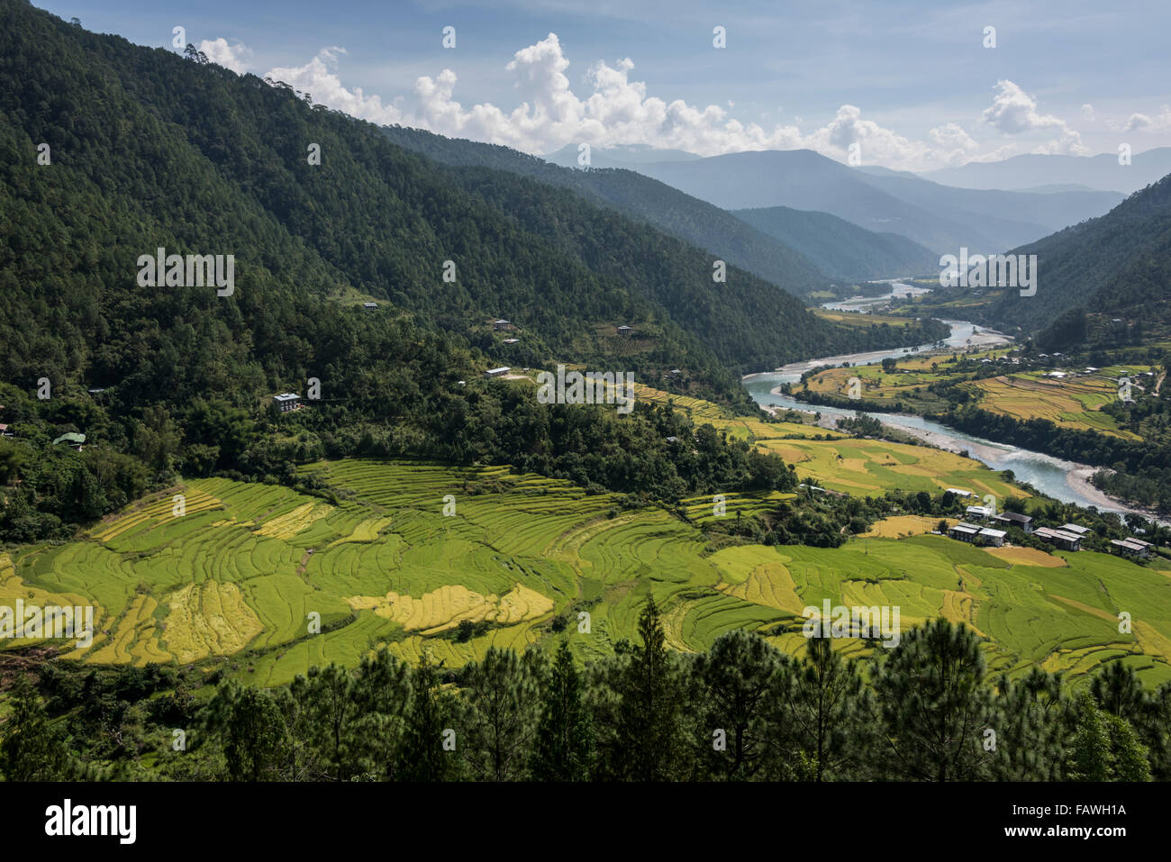 River flowing through a valley with lush farmland surrounded by mountains; Thimphu, Bhutan Stock Photo