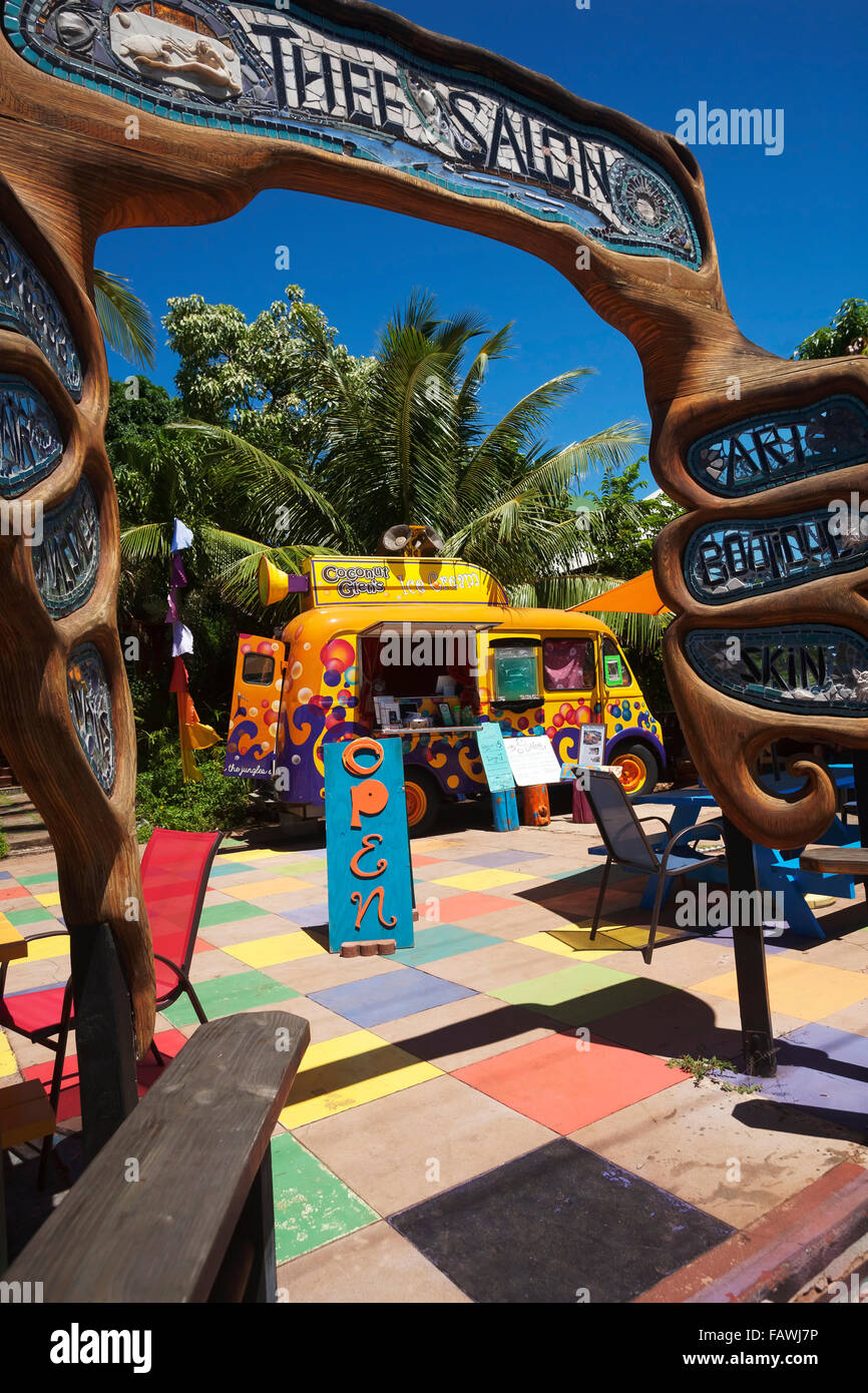 Coconut Glen's Ice Cream truck in the courtyard of Thee Salon; Paia