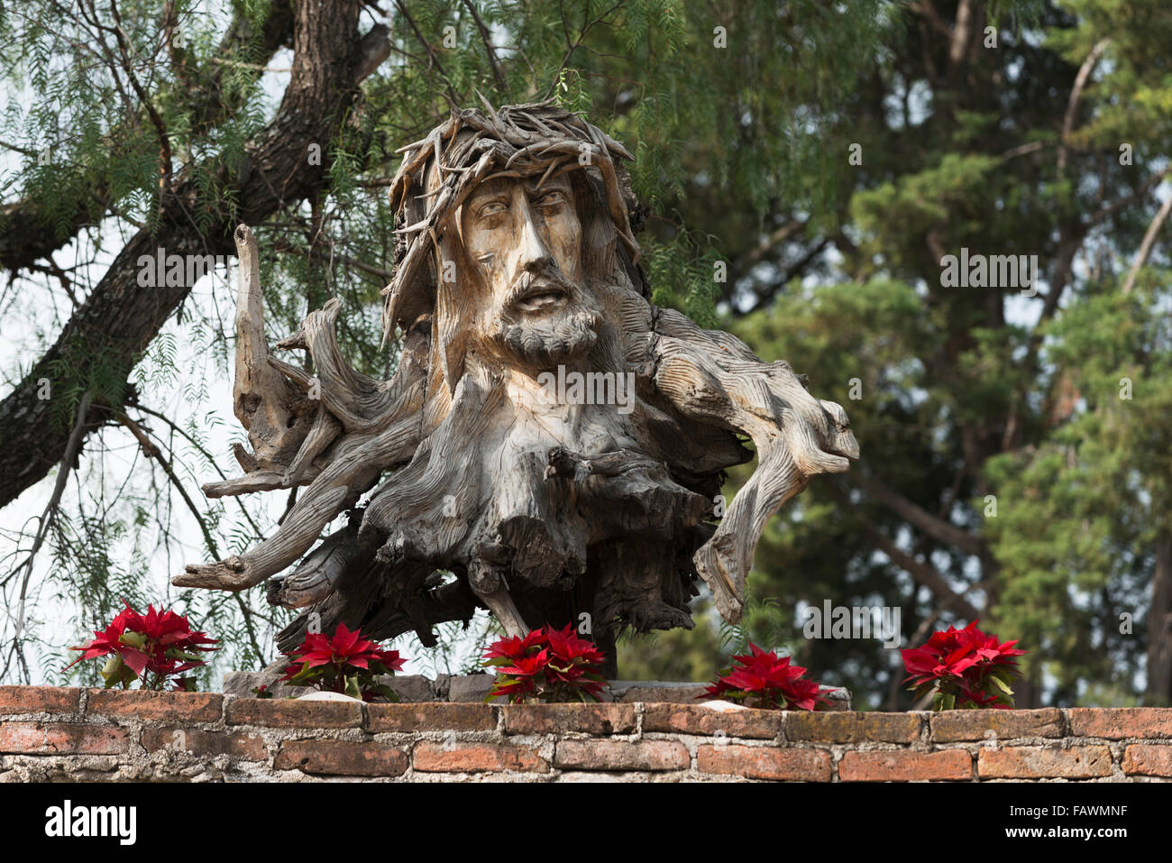 Face of Jesus Christ and crown of thorns carved into a tree stump with red flowers along a wall; Guanajuato, Mexico Stock Photo